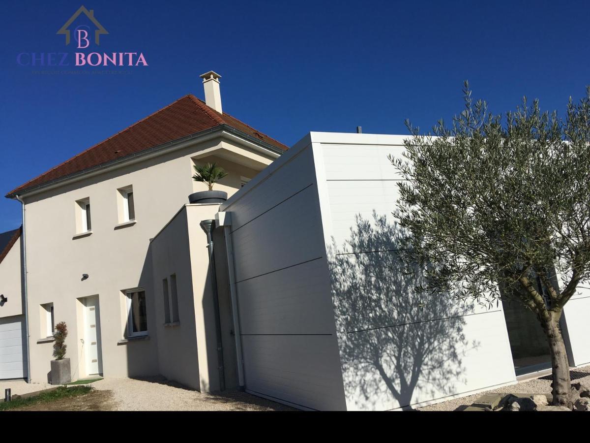 Chez Bonita Hotel Chouzy-sur-Cisse Bagian luar foto